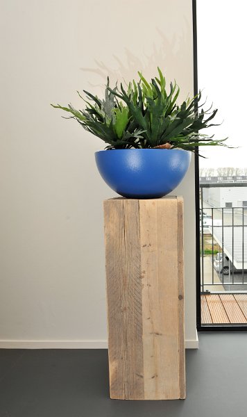 blauwe casacara met hertshoorn (1 van 1)